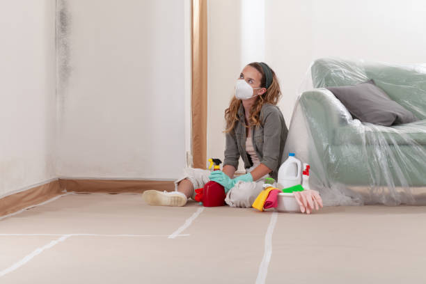 Trusted Basement Mold Remediation service in Verona, NJ - Cheap Mold Removal